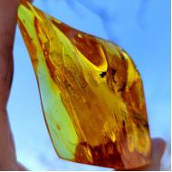 КОЛЕКЦІЙНИЙ ЕКЗЕМПЛЯР! 227Ct Натуральний Балтійський Янтар 92*47мм Сертифікат 