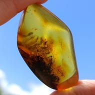 Exclusive 54Ct Натуральний Балтійський Бурштин з інклюзом 49*30мм