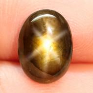 4.54Ct Натуральний сапфір з ефектом астерізму 11.9*8.7мм кабошон Відео