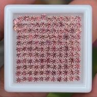 0.028Ct Натуральний colour change сапфір 1.5мм (ціна за 1шт)