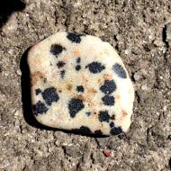 5Ct Натуральна далматинова Яшма 17*13мм