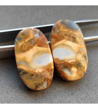 51.1Ct Натуральная Яшма Maligano пара 28*16мм