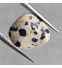 5.3Ct Натуральна далматинова Яшма 13*13мм
