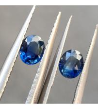 0.87Ct Натуральні Royal blue сапфіри пара 5*4мм (Шрі-Ланка)