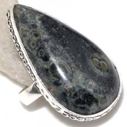 Огромное серебряное кольцо с Камбаба яшмой 20р