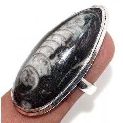 Серебряное кольцо с крупным ортоцерасом 18р