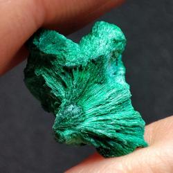 12.65Ct Натуральный кристалл Малахита 20.5*13мм Конго