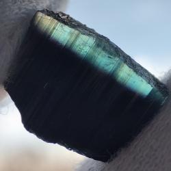 11.1CT Редкий черно- голубой турмалин 15*12мм (без огранки) Афганистан