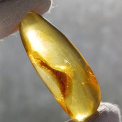 17.4Ct Натуральний Балтійський Бурштин 30*14.6мм