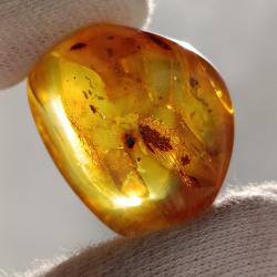 21Ct Натуральний Балтійський Бурштин 25*20мм