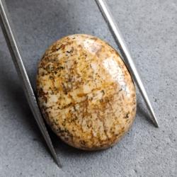 22.95Ct Натуральна зелёная Яшма з Індонезії 23.5*19мм