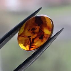 2.46Ct Натуральный Балтийский Янтарь овал кабошон14*10мм