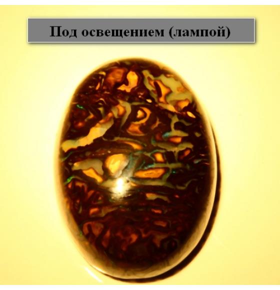 12.91СT ПРИРОДНЫЙ БОЛДЕР ОПАЛ - Высокое качество. Доставка по Украине.
