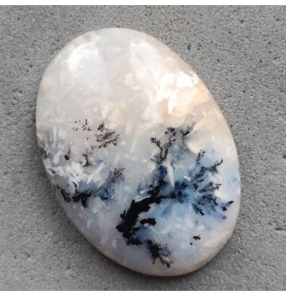 Дендроопал светлый