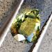 0.68Ct Не гретый полихромный сапфир 6*4.8мм груша (Сертификат) - Высокое качество. Доставка по Украине.