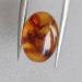 Янтарь Балтийский 14*10мм
